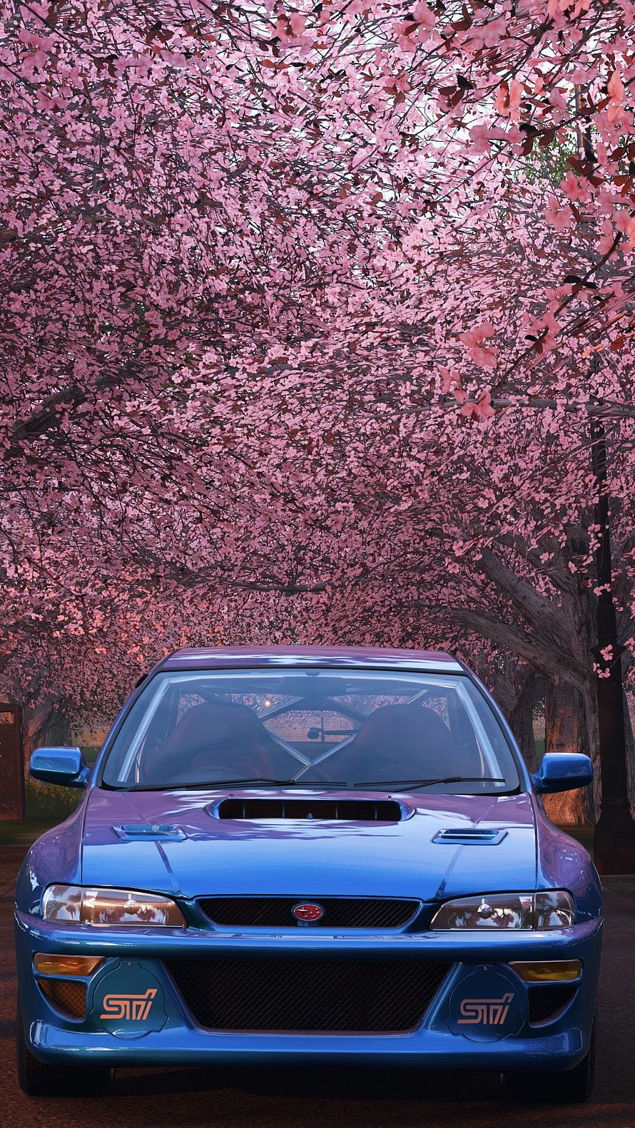 Blue Subaru Impreza 22B STI parked beneath a canopy of pink cherry blossom trees HD phone wallpaper