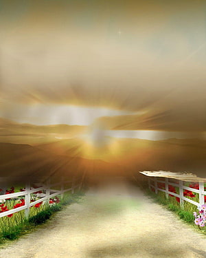 Sunlit Country Path with White Fence and Red Poppies in Misty Landscape HD phone wallpaper