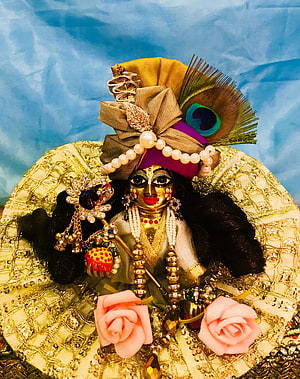 Ornate Krishna Doll with Peacock Feather Headdress and Gold Jewelry HD phone wallpaper