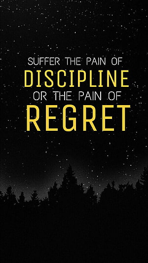 Motivational Discipline Quote on Starry Night Sky with Forest Silhouette HD phone wallpaper