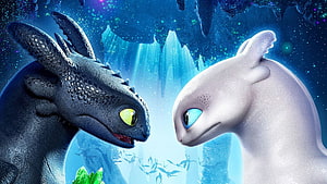 Toothless and Light Fury Face to Face in DreamWorks How to Train Your Dragon HD wallpaper