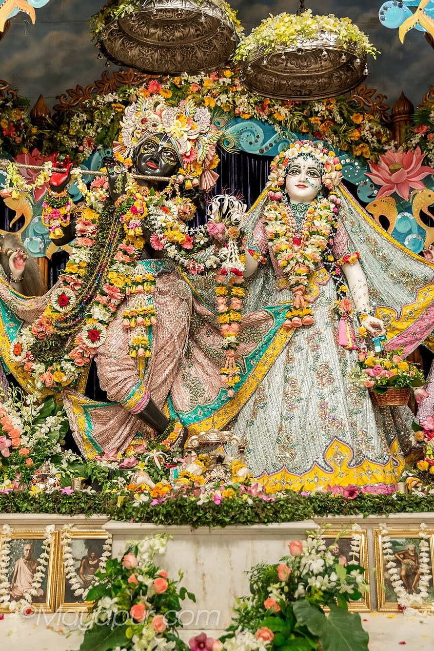 Ornate Krishna and Radha Deities Adorned with Fresh Flowers at Mayapur Dham Temple HD phone wallpaper