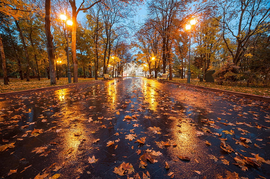 Wet Autumn Park Path Lined with Glowing Street Lamps and Fallen Leaves HD wallpaper