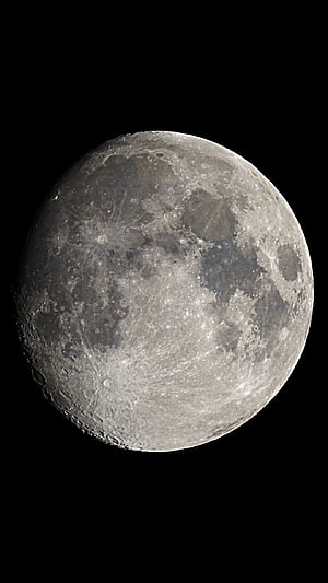 Full Moon Surface Detail Against Deep Black Space Background HD phone wallpaper
