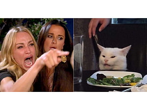 Smudge the Cat Meme: Woman Yelling at Cat at Dinner Table HD wallpaper