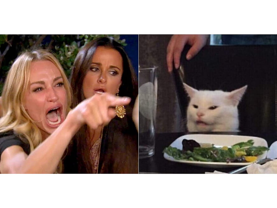 Smudge the Cat Meme: Woman Yelling at Cat at Dinner Table HD wallpaper