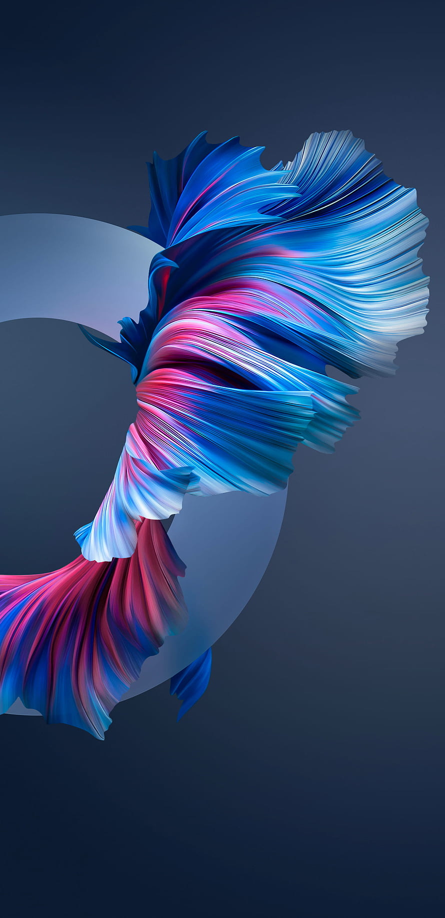 Vibrant Abstract 3D Ribbon Sculpture in Blue and Pink on Dark Background HD phone wallpaper