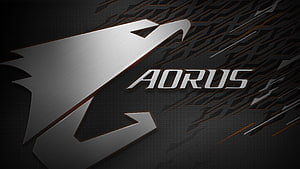 Gigabyte Aorus Gaming Brand Logo on Dark Carbon Fiber Background HD wallpaper