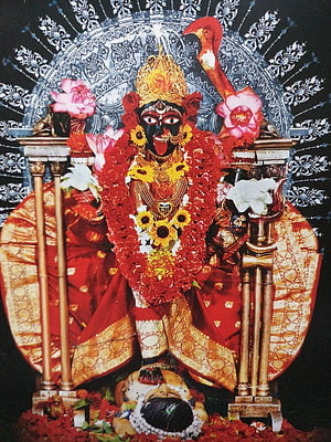 Maa Tara Deity Statue Adorned With Red Garlands And Golden Crown HD phone wallpaper