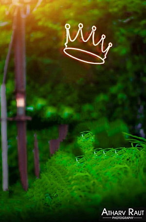 Glowing Crown Graphic Over Lush Green Foliage with Soft Bokeh and Warm Sunlight HD phone wallpaper