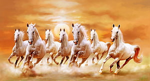 Seven White Horses Galloping Together Across a Golden Sunset Landscape HD wallpaper