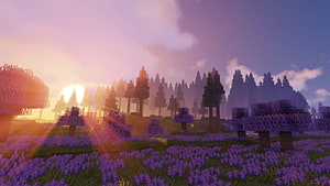 Minecraft Lavender Field at Sunset with Cherry Blossom Trees and Purple Flowers HD wallpaper
