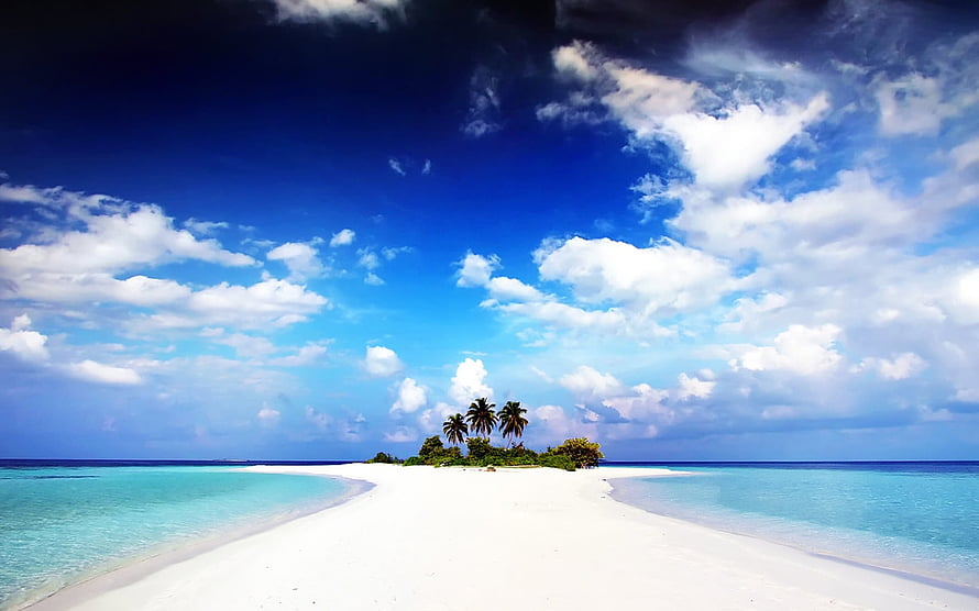 Los Roques Archipelago in Venezuela with a pristine white sandbar and palm trees under a dramatic blue sky HD wallpaper