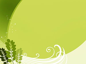 Fresh Green Floral Vector Background with Elegant White Swirls and Leafy Branches HD wallpaper