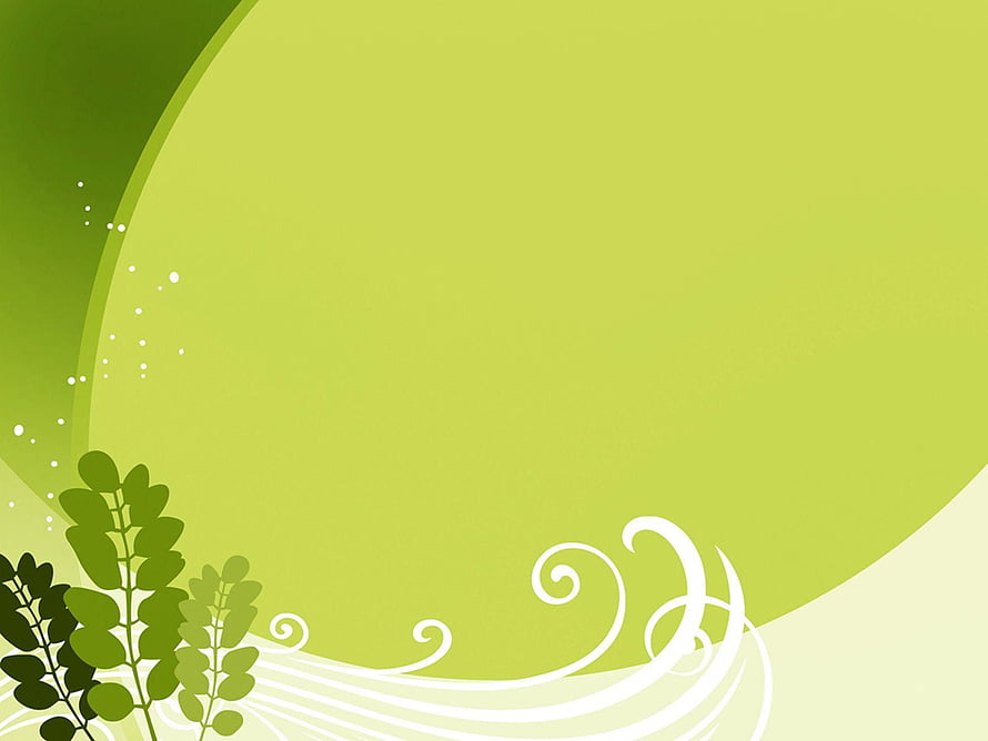 Fresh Green Floral Vector Background with Elegant White Swirls and Leafy Branches HD wallpaper