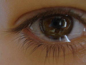 Extreme Close-Up of a Brown Human Eye with Detailed Iris and Eyelashes, 95 Sad Crying Eyes Dp For Whatsapp, cute eye dp HD wallpaper