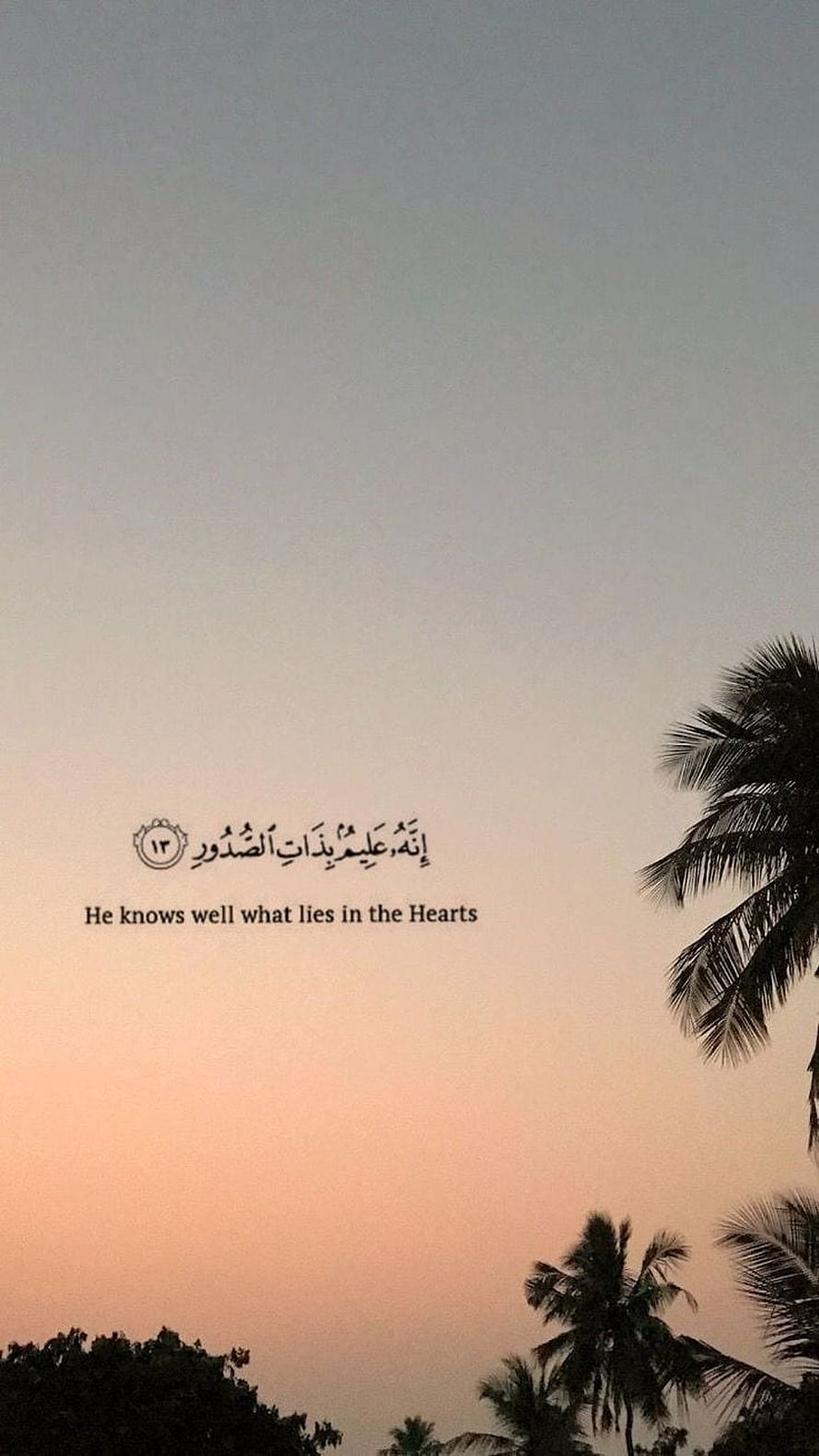 Serene Sunset Sky with Palm Trees and Quran Verse About Hearts HD phone wallpaper