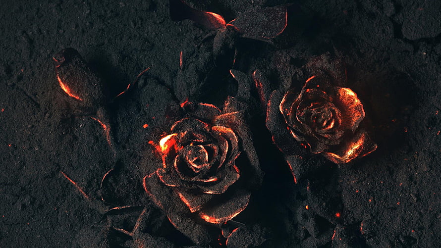Charred Rose Blooms with Glowing Embers on Dark Ash Surface HD wallpaper