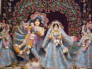 Radha Krishna Banke Bihari Temple Deities in Ornate Floral Attire HD wallpaper