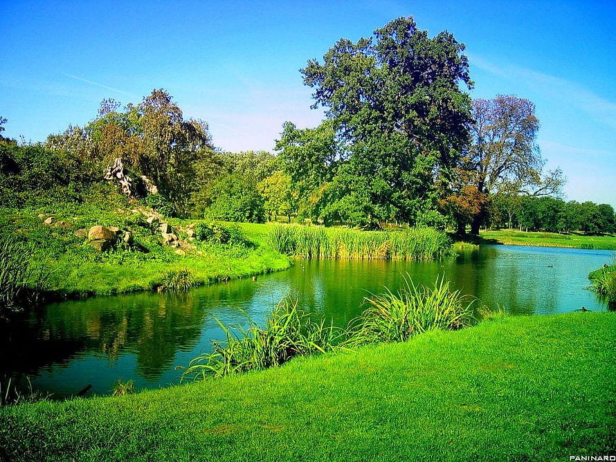 Serene Park Pond with Lush Green Grass and Tall Trees Under a Clear Blue Sky HD wallpaper
