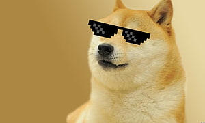 Doge Shiba Inu Wearing Pixelated Sunglasses on a Warm Beige Background HD wallpaper