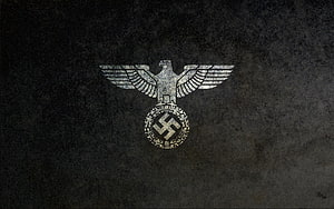 Vintage Nazi Eagle Emblem on Dark Grunge Texture Background HD wallpaper