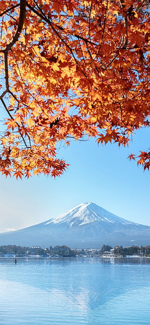 Mount Fuji framed by vibrant red maple leaves over a calm lake in autumn HD phone wallpaper