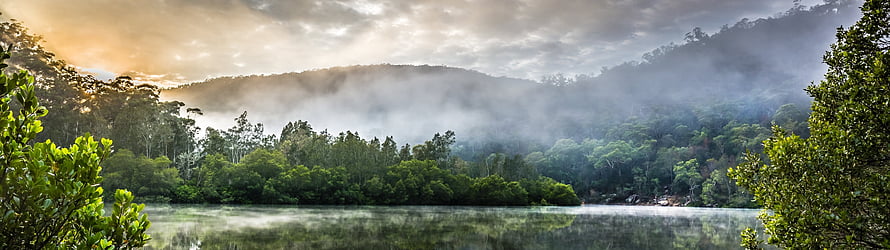Misty Mountain Lake at Sunrise with Lush Forest Reflections HD wallpaper