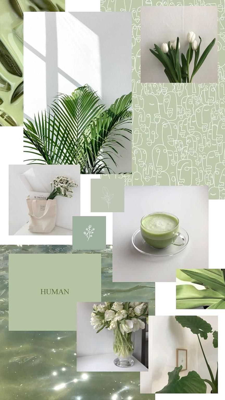 Sage Green Aesthetic Collage Featuring Tropical Leaves, White Tulips, and Matcha Latte HD phone wallpaper