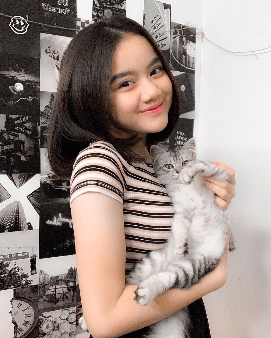 Young woman smiling while holding a fluffy silver tabby kitten indoors HD phone wallpaper