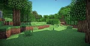 Minecraft Forest Biome Landscape with Oak Trees and Grass Blocks HD wallpaper