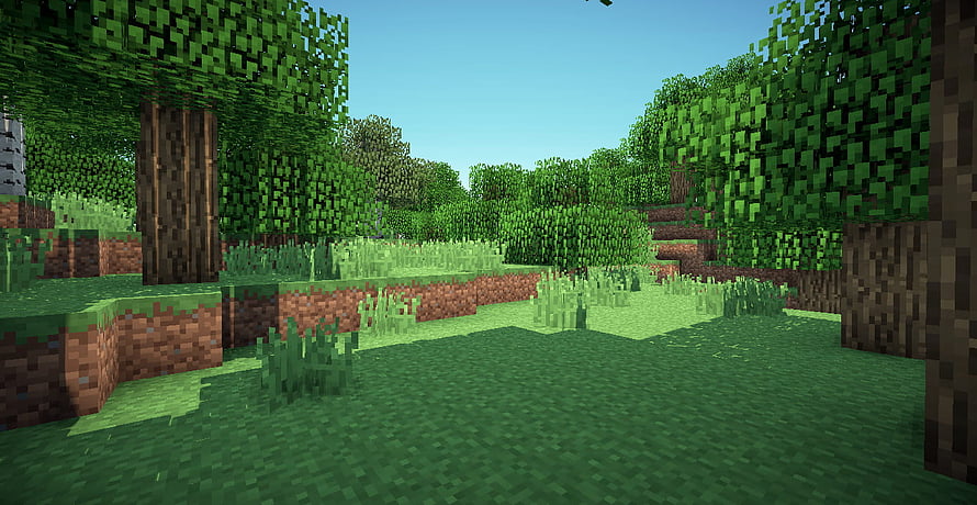 Minecraft Forest Biome Landscape with Oak Trees and Grass Blocks HD wallpaper