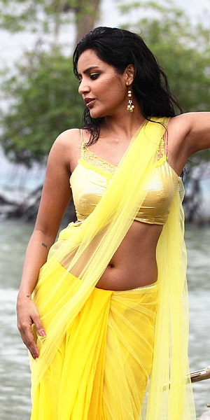 Priya Anand in a vibrant yellow saree with a gold blouse, posing outdoors near a body of water HD phone wallpaper