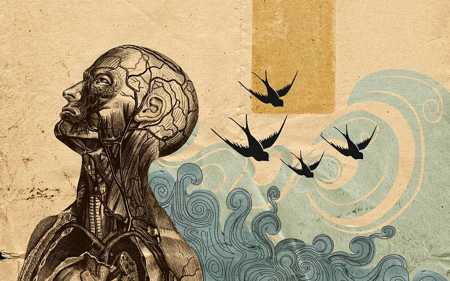 Anatomical Portrait of a Cracked Head with Flying Birds and Stylized Waves HD wallpaper