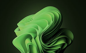 Windows 11 Dark Green Abstract Flowing Ribbon Wallpaper HD wallpaper