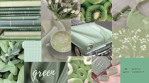 Sage Green Aesthetic Mood Board Featuring Vintage Car, Flowers, and Nature Elements HD wallpaper