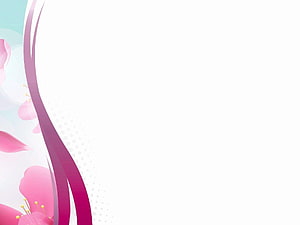 Elegant Pink Floral Spring Design with Curved Stems and Soft Petals on White Background HD wallpaper