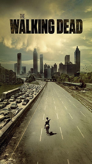 The Walking Dead Lone Rider on Abandoned Highway Toward City Skyline HD phone wallpaper