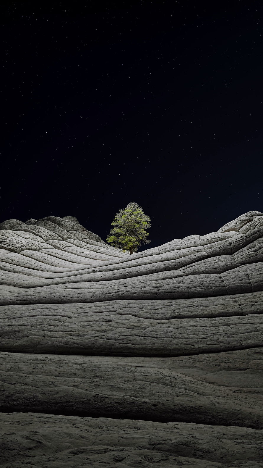 Lone Tree on Layered Sandstone Ridge Under a Starry Night Sky HD phone wallpaper