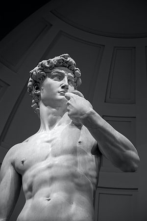 Black and White Photograph of the David Statue by Michelangelo in the Accademia Gallery HD phone wallpaper