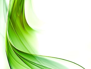 Elegant Green Abstract Flowing Ribbons on White Background HD wallpaper