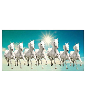 Seven White Horses Galloping in Formation Under a Bright Sunburst Sky HD phone wallpaper
