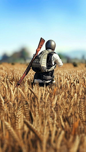 PUBG Mobile Soldier Crouching in Golden Wheat Field with Rifle and Helmet HD phone wallpaper