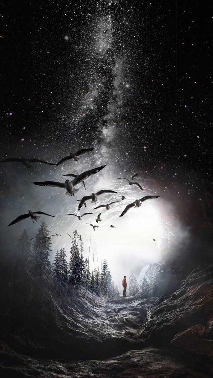 Lone Hiker in Snowy Forest Under Starry Night Sky with Flying Birds HD phone wallpaper