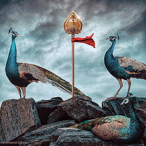 Murugan Vel with Peacocks on Rocky Terrain Under Dramatic Stormy Sky HD phone wallpaper