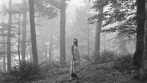 Taylor Swift Folklore Era Portrait in Misty Black and White Forest HD wallpaper