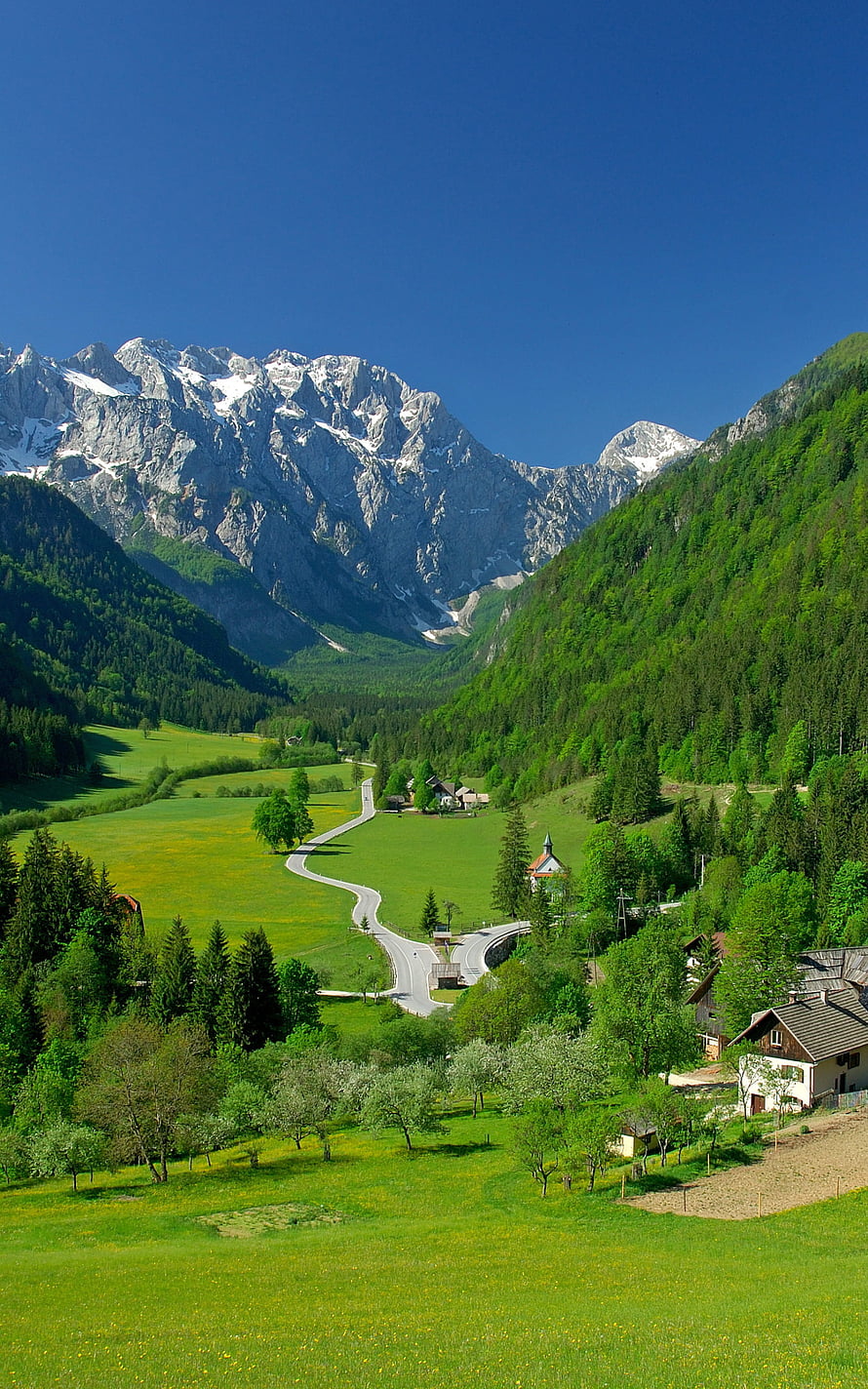 Alpine Valley Landscape With Snow-Capped Peaks And Green Pastures HD phone wallpaper