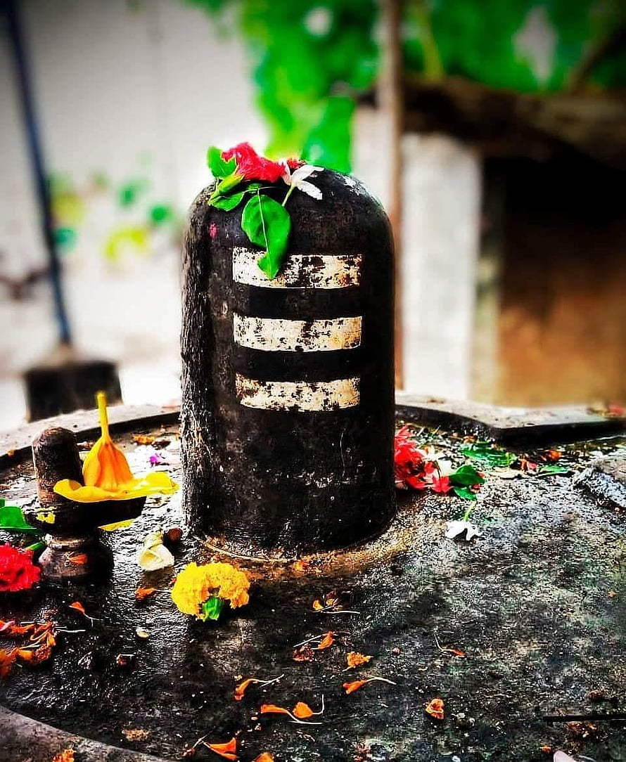 Sacred Shiva Lingam adorned with fresh flowers and traditional markings in a serene temple setting HD phone wallpaper