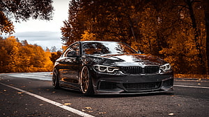 Black BMW 4 Series Coupe on a Forest Road with Autumn Foliage HD wallpaper