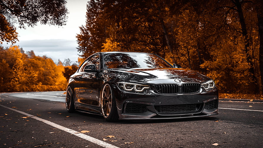 Black BMW 4 Series Coupe on a Forest Road with Autumn Foliage HD wallpaper